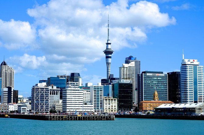 Auckland City & Native Forest Experience - Fully Guided Day Tour - The quick facts that shape your day