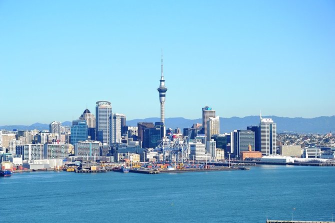 Auckland City & Native Forest Experience - Fully Guided Day Tour - Why this Auckland tour covers so much ground