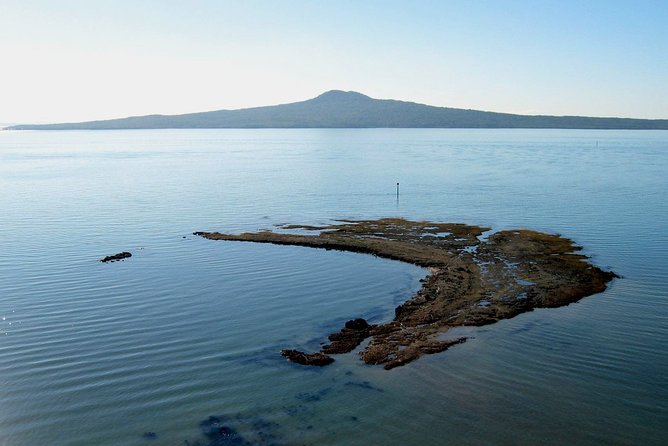Auckland City & Native Forest Experience - Fully Guided Day Tour - Harbour Bridge, Westhaven, and the city’s waterfront