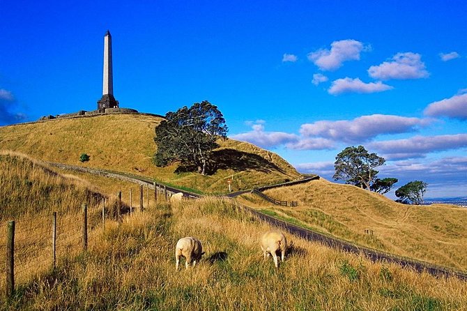 Auckland City Private Tour for Couples. Be chauffeur driven with added extras. - Mount Eden starts the tour with a citywide view