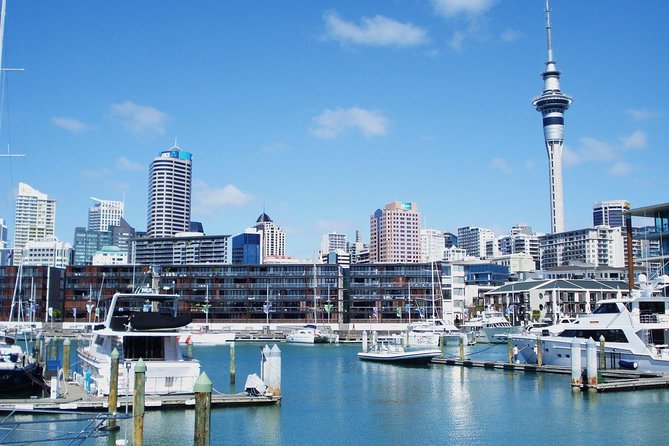 Auckland City Private Tour for Couples. Be chauffeur driven with added extras. - Mission Bay and the option to pause by the water