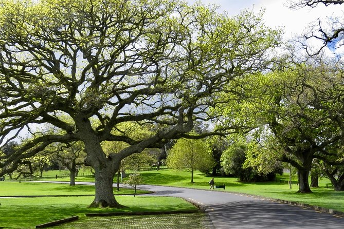 Auckland City Private Tour for Couples. Be chauffeur driven with added extras. - Little Shoal Bay gives you a different Auckland angle