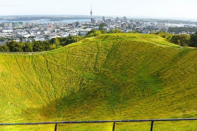Auckland City Tour — One Day The Ultimate Auckland Experience - Westhaven Marina and the Harbour Bridge