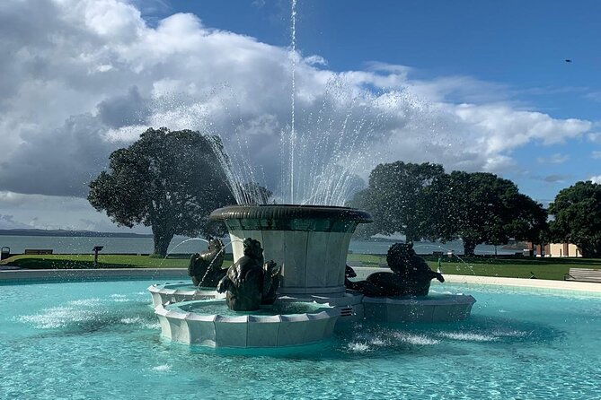Auckland City Tour — One Day The Ultimate Auckland Experience - Guides, commentary, and the small-group feel