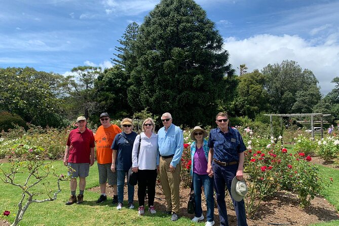 Auckland City Tour — One Day The Ultimate Auckland Experience - What the NZ$167.55 price really buys