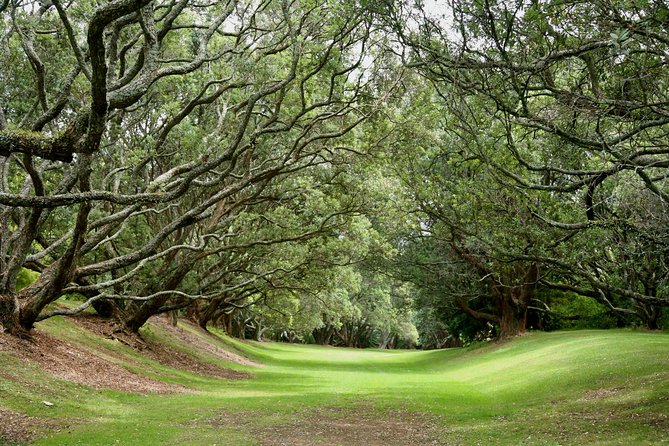Auckland Coastal Experience - Small Group City & Beach Tour Incl. Wine Tasting - Westbrook Winery and the first tasting