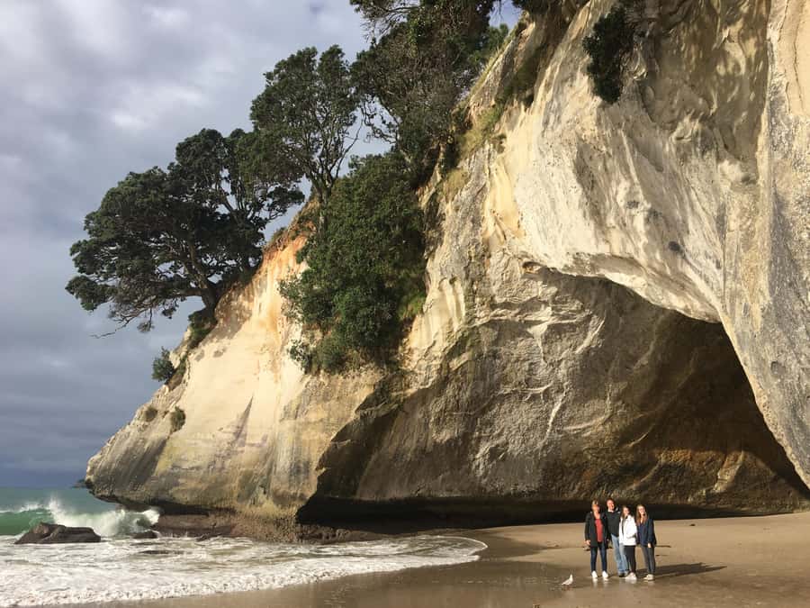 Auckland: Coromandel Day Tour including Hot Water Beach - Key points to know before booking