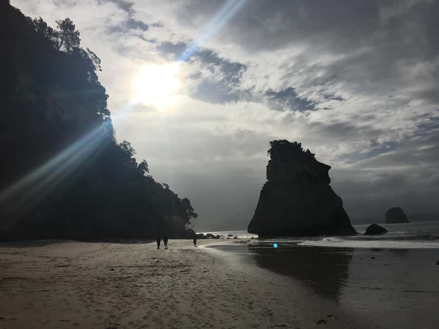 Auckland: Coromandel Day Tour including Hot Water Beach - Auckland pickup and the long scenic road south