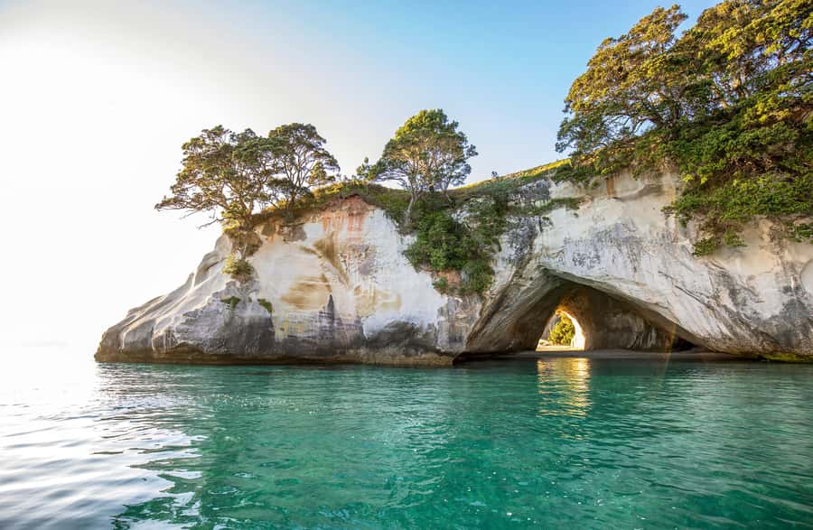 Auckland: Coromandel Driving Creek & Cathedral Cove Day Tour - Key points to know before booking