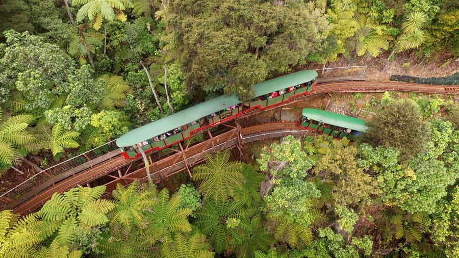 Auckland: Coromandel Driving Creek & Cathedral Cove Day Tour - Why this Coromandel day trip works
