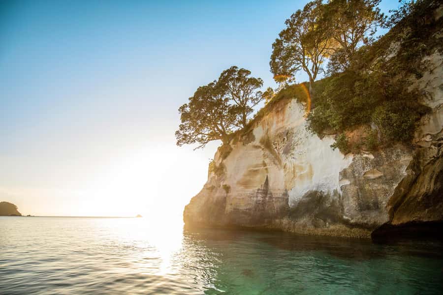 Auckland: Coromandel Driving Creek & Cathedral Cove Day Tour - Driving Creek Railway, Barry Brickell’s remarkable project