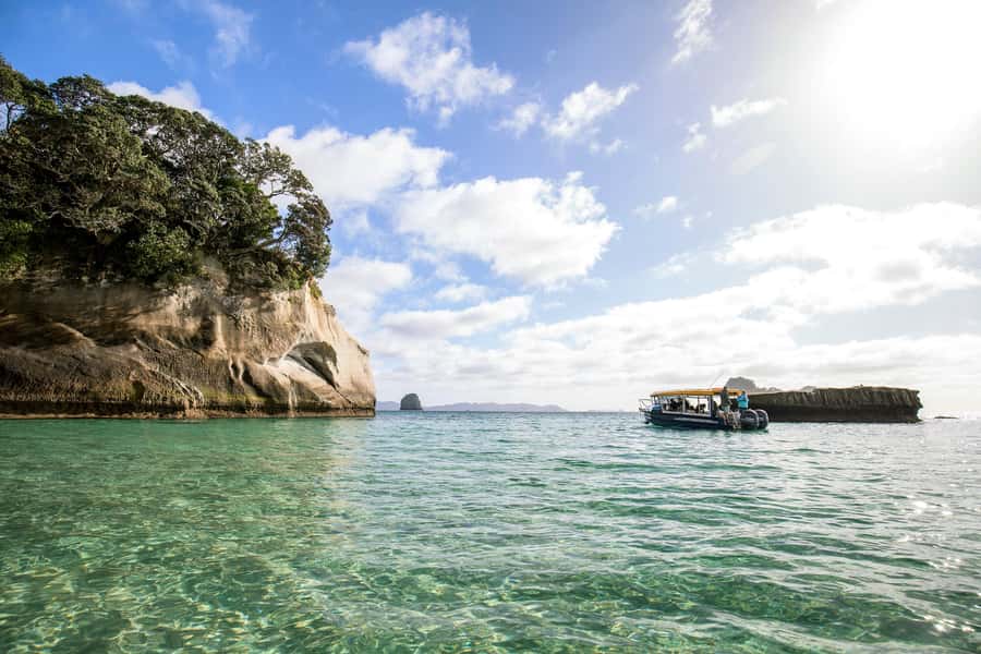 Auckland: Coromandel Driving Creek & Cathedral Cove Day Tour - The Cathedral Cove walk and marine reserve