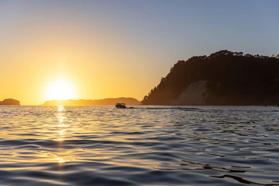 Auckland: Coromandel Driving Creek & Cathedral Cove Day Tour - What the guide adds to the day