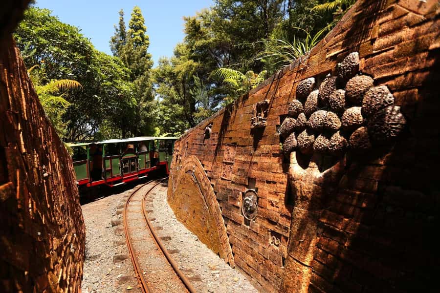 Auckland: Coromandel Driving Creek & Cathedral Cove Day Tour - Who should book this tour?