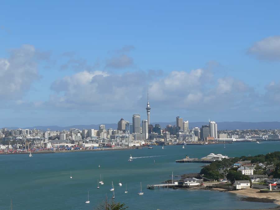 Auckland: Devonport Village Segway Tour - The guide can make or break the experience