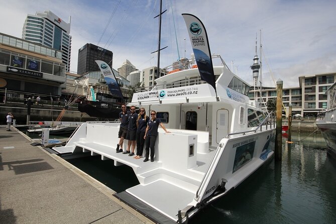 Auckland Dolphin and Whale Watching Eco-Safari Cruise - Leaving Viaduct Harbour for the Hauraki Gulf