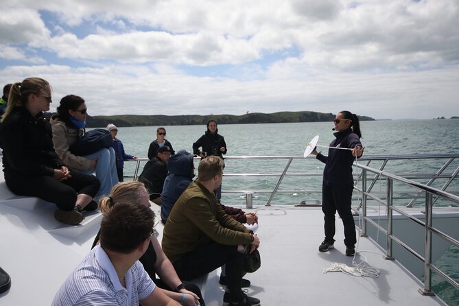 Auckland Dolphin and Whale Watching Eco-Safari Cruise - Motuihe and Motutapu: island scenery between sightings