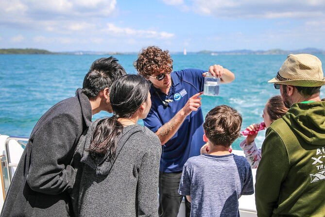 Auckland Dolphin and Whale Watching Eco-Safari Cruise - What a successful wildlife encounter looks like