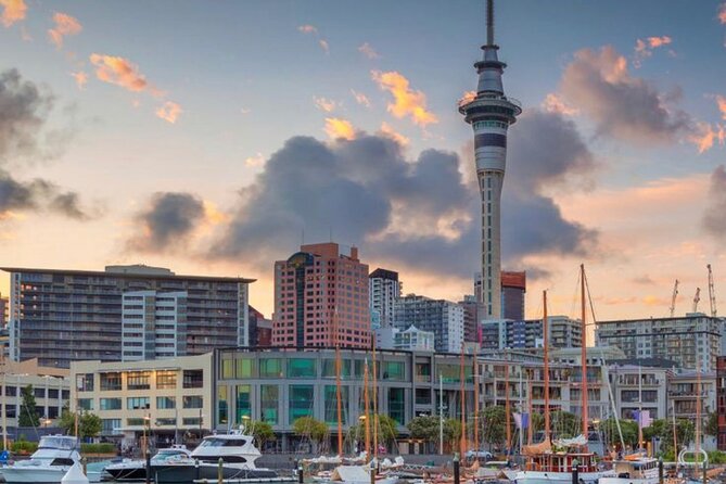 Auckland Downtown Hotel Transfers to/from Cruise Ship in Minivan - Drivers who communicate make port transfers easier