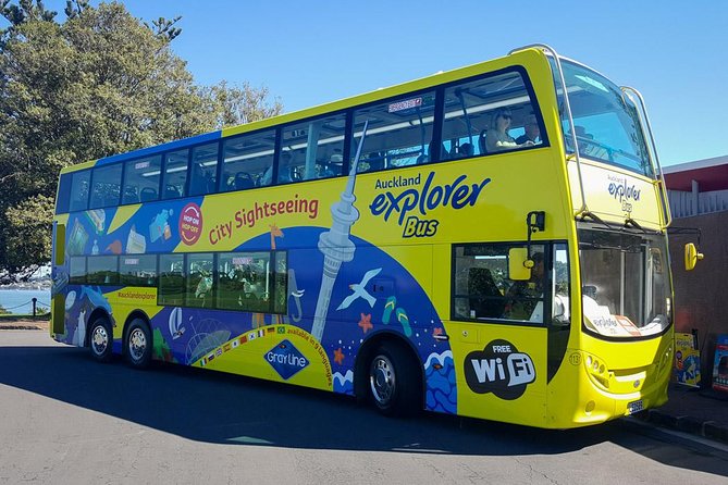 Auckland Explorer: Sightseeing Hop-on Hop-off Tour - Sky Tower and Auckland Art Gallery