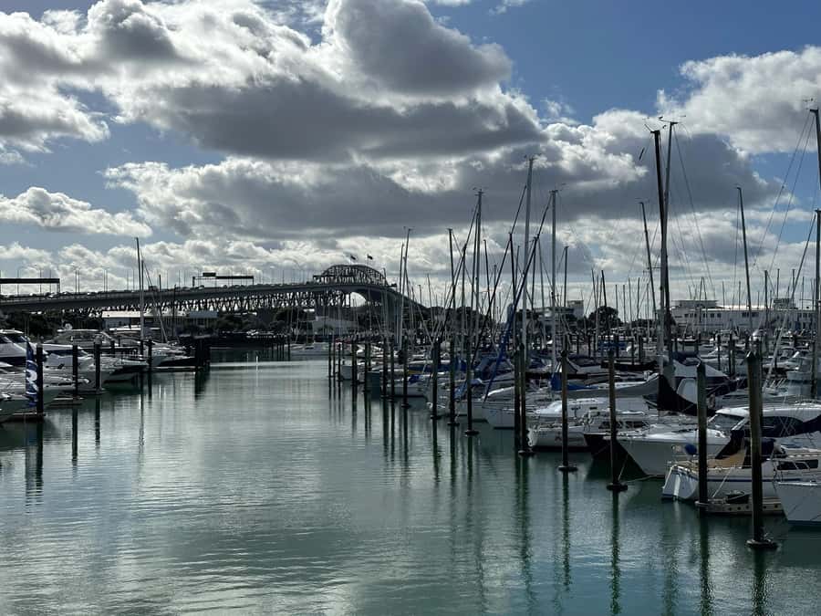 Auckland: GoGuided Auckland City Tour - Commentary, languages, and the host-driver