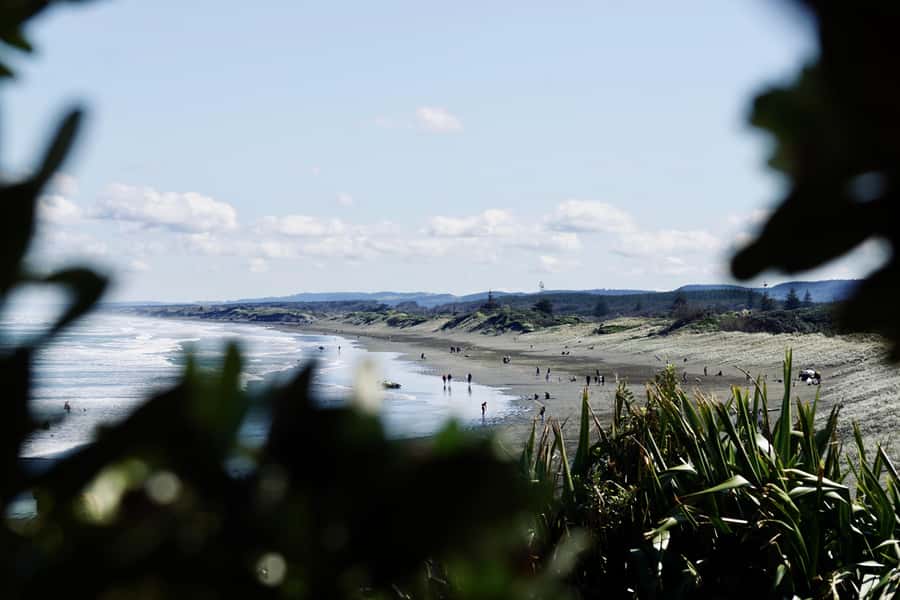 Auckland: Group Surfing Lesson with Muriwai Surf School - Small groups and the quality of instruction
