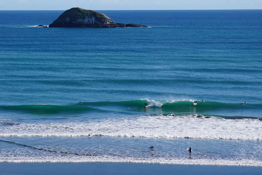 Auckland: Group Surfing Lesson with Muriwai Surf School - What the $41 price really includes