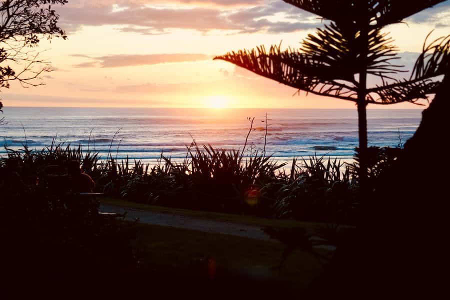 Auckland: Group Surfing Lesson with Muriwai Surf School - Who should book this lesson
