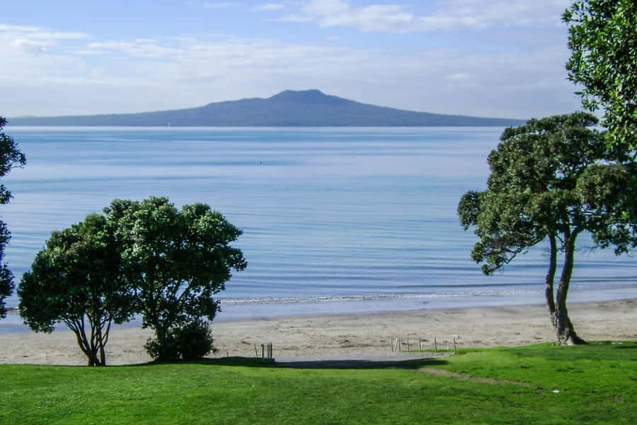 Auckland: Guided Small Group City Discovery Tour - Is $59 a Fair Price?