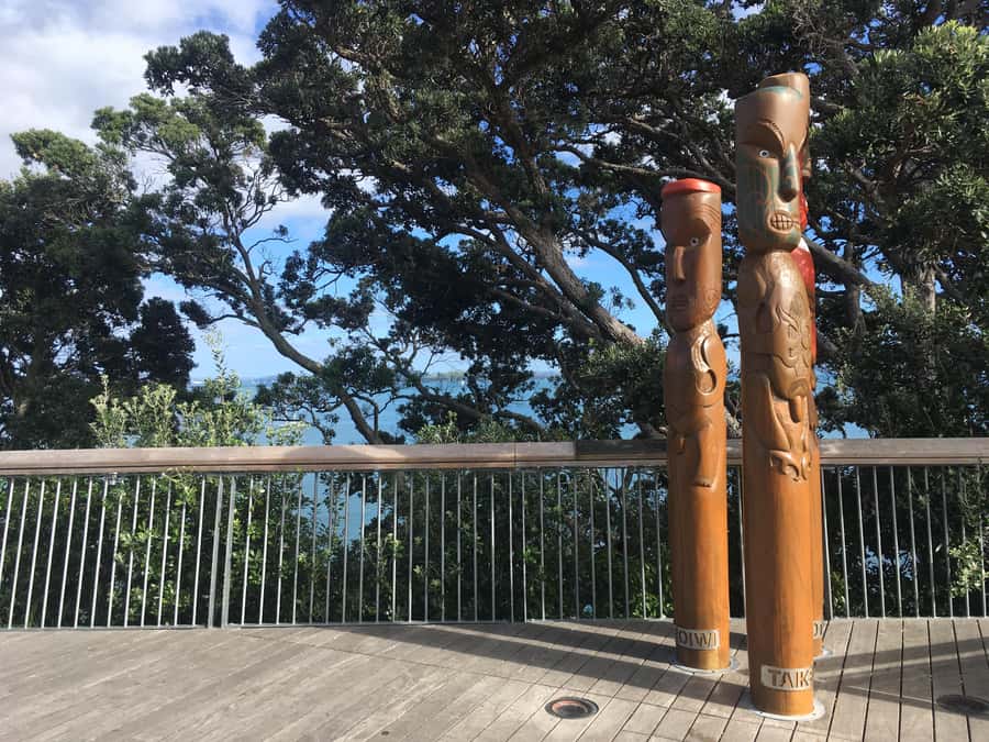 Auckland: Half-Day Auckland Volcanoes Tour - Why Auckland’s volcanoes make such a good city tour