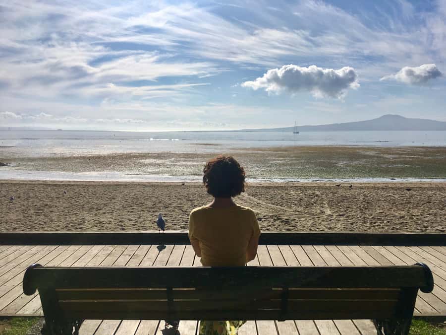 Auckland: Half-Day Auckland Volcanoes Tour - An early start from Queens Wharf