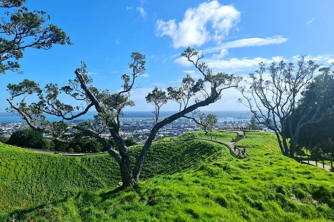 Auckland Half Day City Tour - Heart of Auckland - Auckland Domain and the Wintergardens