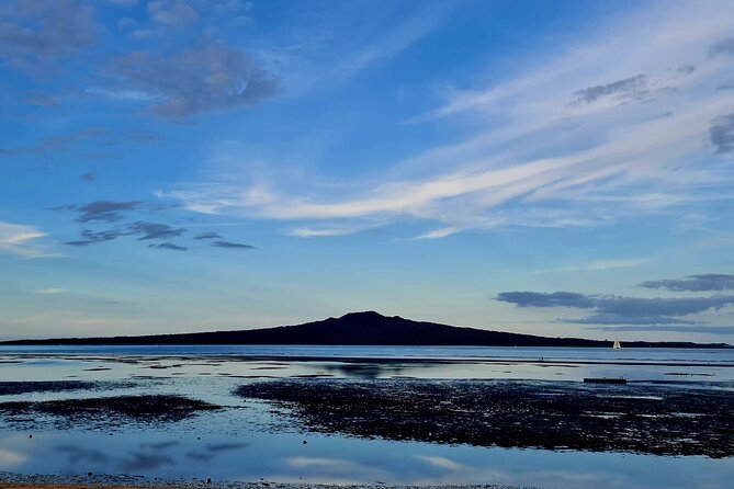 Auckland Half Day City Tour - Heart of Auckland - The guide can make or break the experience