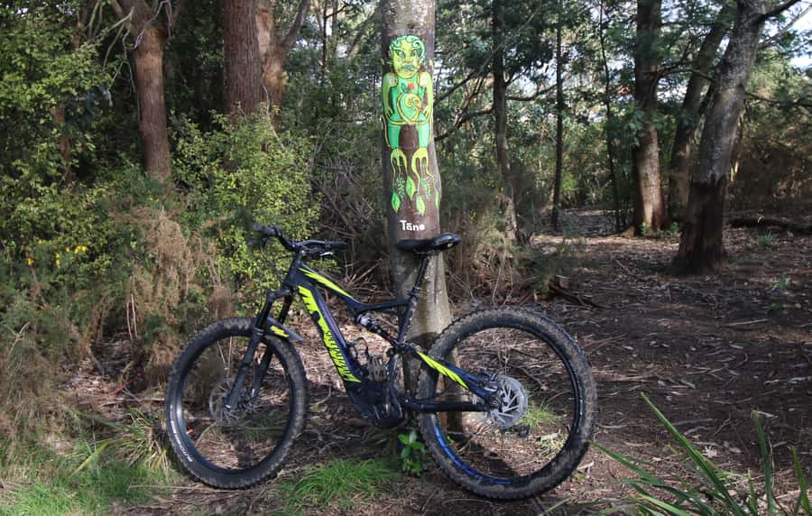 Auckland Half-Day Ebike Tour Excursion - Why an ebike works so well in Auckland