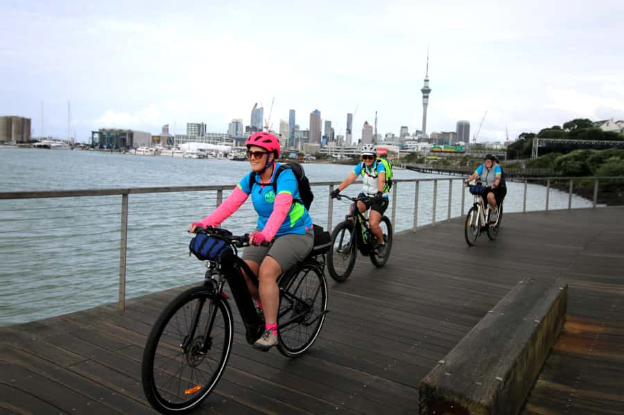 Auckland Half-Day Ebike Tour Excursion - Western Springs and Auckland’s greener side