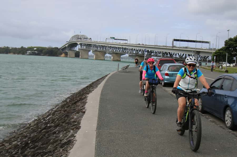 Auckland Half-Day Ebike Tour Excursion - Following the Opunuku Stream through older Auckland