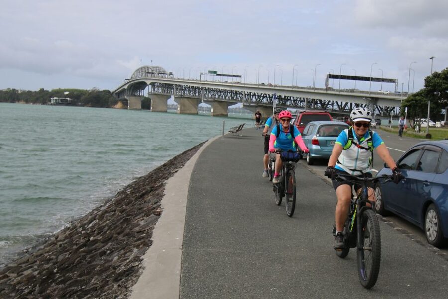 Auckland Half-Day Ebike Tour Excursion - Back pathways through the western suburbs