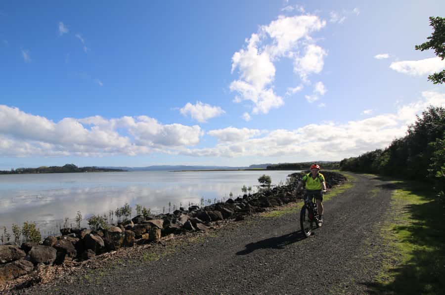 Auckland Half-Day Ebike Tour Excursion - Meeting at Victoria Park and starting along the waterfront
