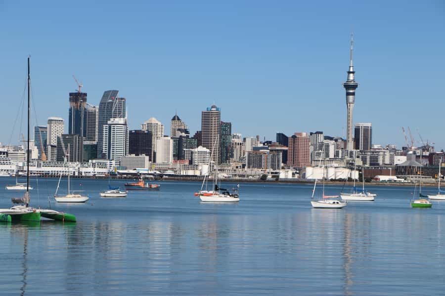 Auckland: Half-Day Scenic Sightseeing Tour - Why this four-hour tour works well in Auckland