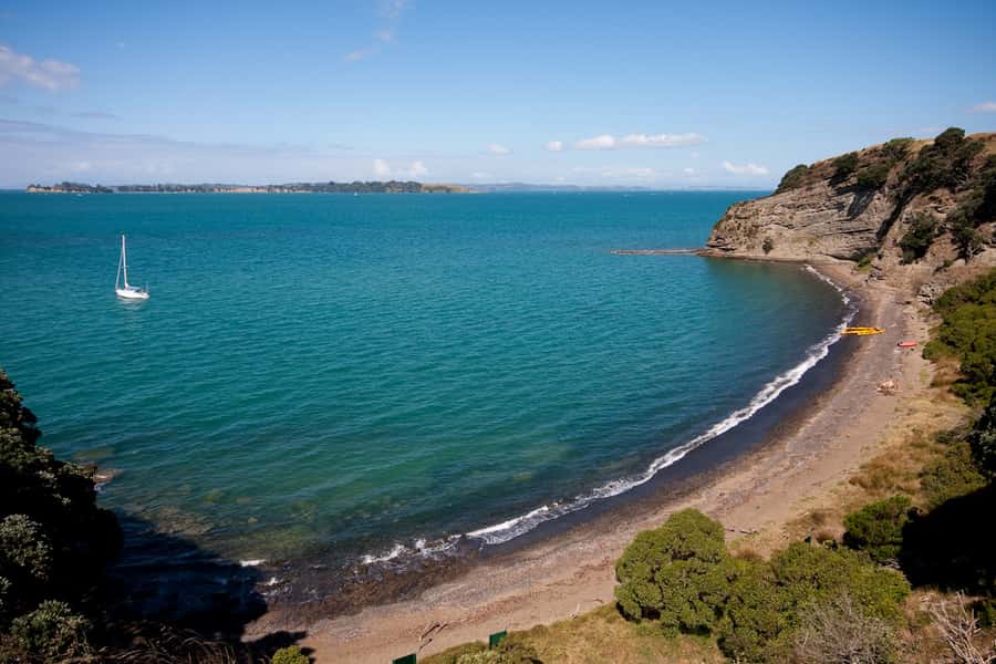 Auckland: Half-Day Sea Kayak Tour to Motukorea Island - Key points to know before booking