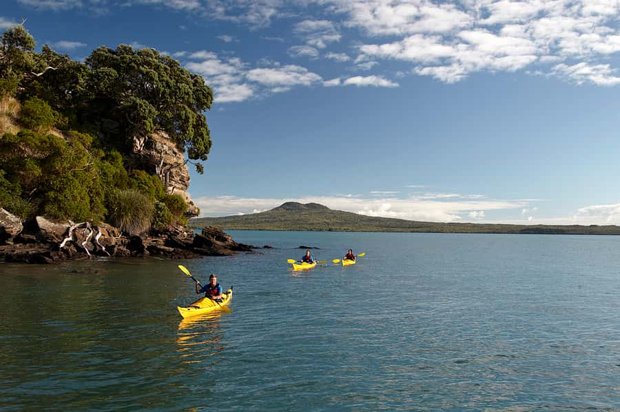 Auckland: Half-Day Sea Kayak Tour to Motukorea Island - Paddling across the Hauraki Gulf