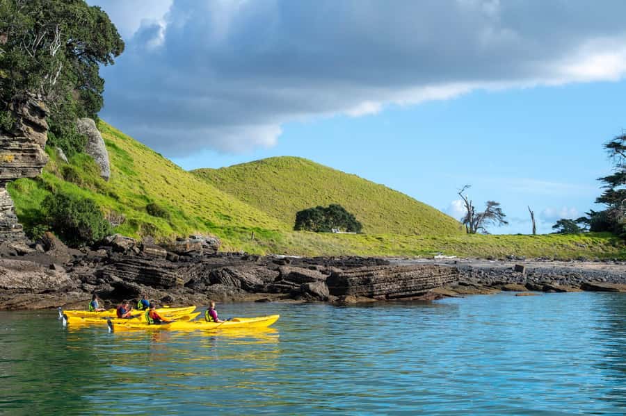 Auckland: Half-Day Sea Kayak Tour to Motukorea Island - How the 270-minute schedule feels