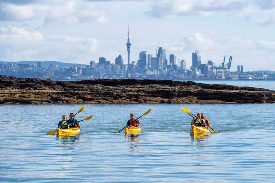 Auckland: Half-Day Sea Kayak Tour to Motukorea Island - Friendly instruction for first-time kayakers