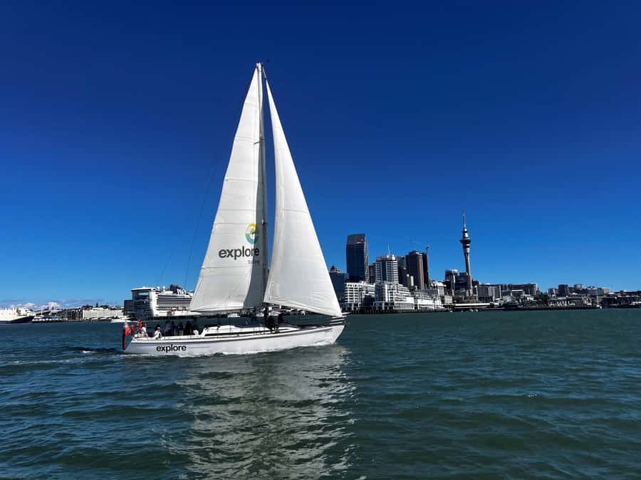 Auckland Harbour 1.5-Hour Sailing Cruise - Key points before you book