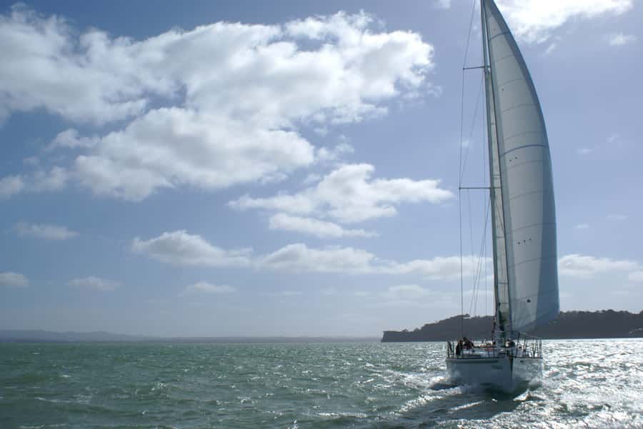 Auckland Harbour 1.5-Hour Sailing Cruise - Who should book this Auckland sailing cruise?