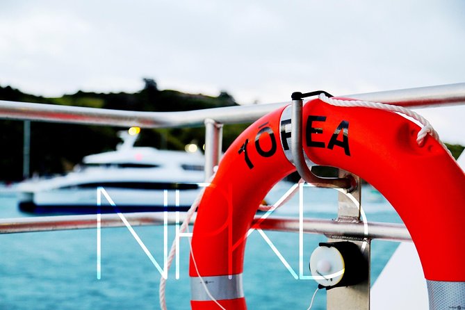 Auckland Harbour Cruise - Under the Auckland Harbour Bridge