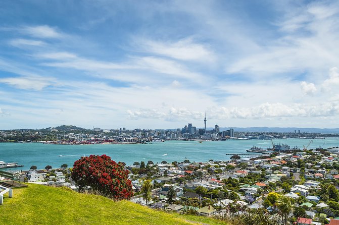 Auckland Harbour Cruise - Weather, sound, and choosing your seat