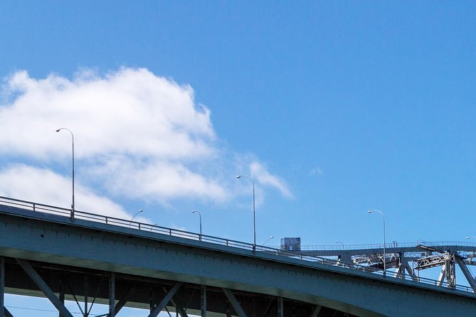 Auckland Harbour Cruise - Who will enjoy this Auckland cruise most