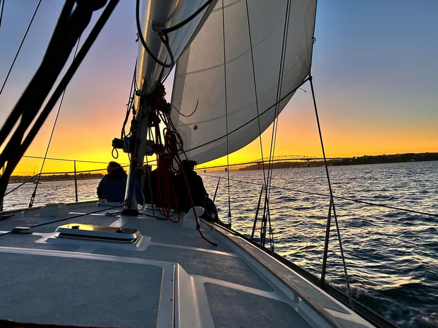 Auckland: Harbour Sailing Cruise with 3-Course Dinner - Key points before you book
