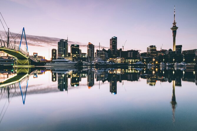 Auckland Highlight Attractions Small Group Tour - Auckland Harbour Bridge from the road